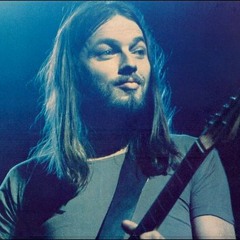 David Gilmour - Shine On You Crazy Diamond Parts I-V