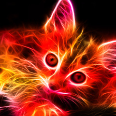 Fire Kitty  (Cover of Fire by The Crazy World Of Arthur Brown)