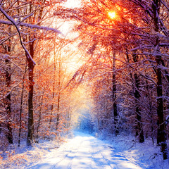WINTER SESSION 2012 - 2013
