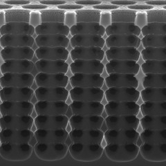 Template (Original Mix)