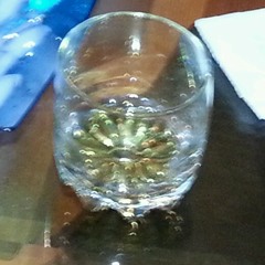 A Ella Le Gusta( By JB )