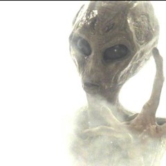 Cellular Reconstruction(Ft. Morgan Sansous)