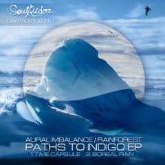 SRLS003 Aural Imbalance & Blok One - Paths to indigo EP