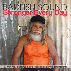 Badfish Sound - Stronger Every Day (Reggae Mixcd)