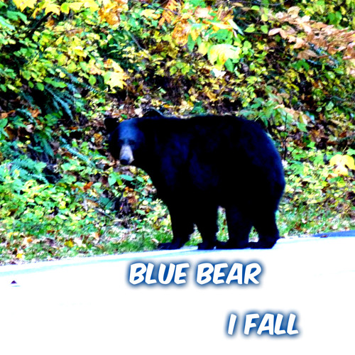 Blue Bear - I Fall