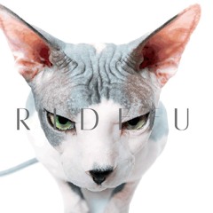 Gutter Brothers - House Of Ill Repute (Lazy Sphynx)