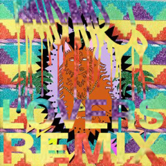 Wavves - Mickey Mouse [Mid-Air! RMX]