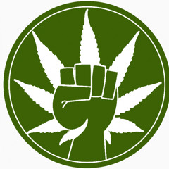 08 Taï J - Marijuana Motion