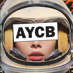 AYCB 017 - Jan Driver - 1995 - PREVIEW