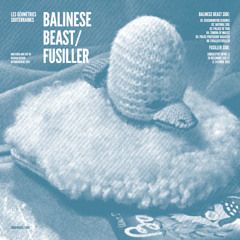 Balinese Beast / Side B / Natural Soil