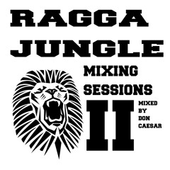 Ragga Jungle Mixing Sessions ll