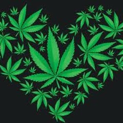 MISION NGA PAISA - PANORAMA