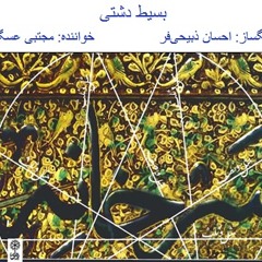 بسیط دشتی