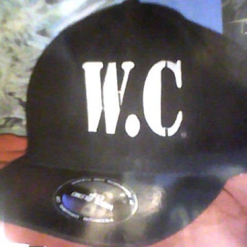 Your Vision Tells Lies Ft Cannibis Lecture Elyk Chronic WC 1 at Dub Cee Territory