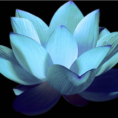 Awakening of the day