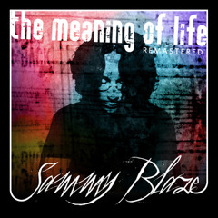 Just Another Revolution Song | Sammy Blaze