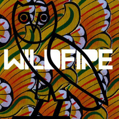 Drake - The Wildfire