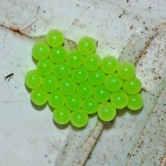 ∗ Ⓐr㈇uɲd 〒he ẉ♾rlȡ