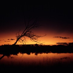 Aug - Dusk Mix
