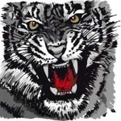 The Strangers & Deemed - Tiger Fist
