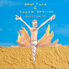 Noah Pred & Pablo Bolivar - Questing (Original Mix)