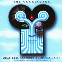 The Chameleons UK - Perfume Garden [-][Demo Version] [1985]