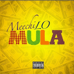 Meechi Lo - Mula (Prod. by DJ Proof)