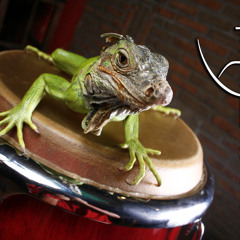 Sin ella (Majuana & Tuco Cárdenas)