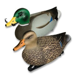 Beg For It- Snakepants and Rocco