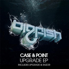 Case & Point - Upgrade (Original Mix)