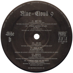Nine - When The Shit Hits The Fan 1996