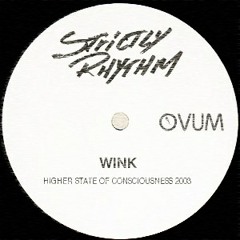 Josh Wink - Higher State Of Conciousness (Hunney Radio Edit Break Mix)