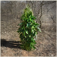 SchnAAk and the Rundu Choir - Kioo Pt. 2