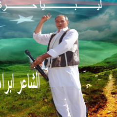 رحلة مع ثورة 17 فبراير للشاعر ابراهيم دبوب