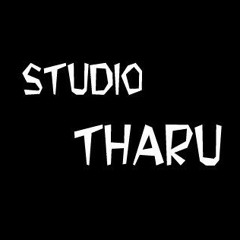 Sean Paul-She Doesn't Mind (DJ Tharu Remix)