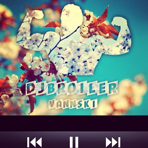 Dj broiler vannski Dj broiler vannski
