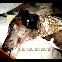 The Sound Hound (Part I) {Free high quality download}
