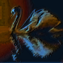 Reflection of The Swan