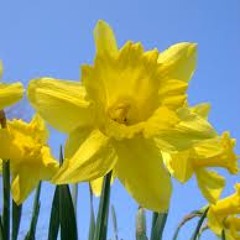 Emilia's Eclectic Experience - For The Love Of Melody (made with Spreaker)