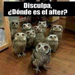 Patrick Topping   Walk On (Original Mix) [HOTTRAXX]