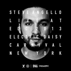 Steve Angello - EDC New York 2013