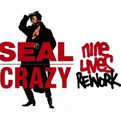 Seal - Crazy (Nine Lives rework)