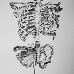 Sóley - Pretty Face Cover By Mirin