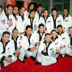 Banda el recodo romanticas mix