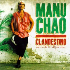 Manu Chao- King of Bongo (Bryan Roger Remix)