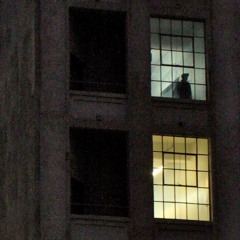 Pretender (Miike Snow Cover)