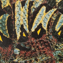 Put Your Hands In The Air Mother Fucker