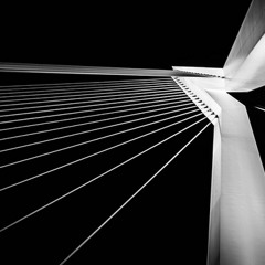 Bald Terror - Rotterdam [Bootleg Konphuzion DubSteppish Mix]