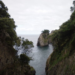 Sonreir