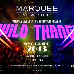 Whitney Day & Hot Rabbit Present- NYC Pride Sunday 2013 'WILD THANG!' DJ CONTEST